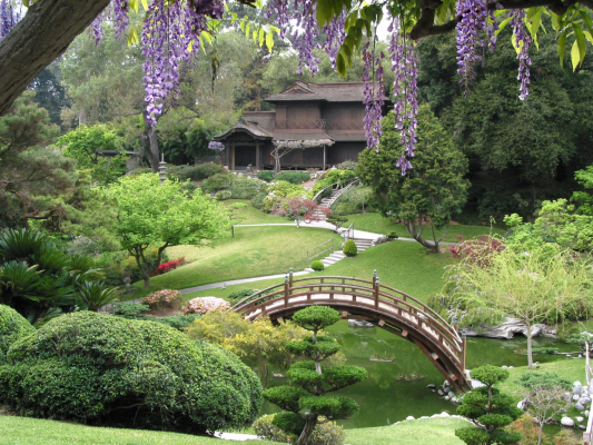 Japanese Garden in Pasadena