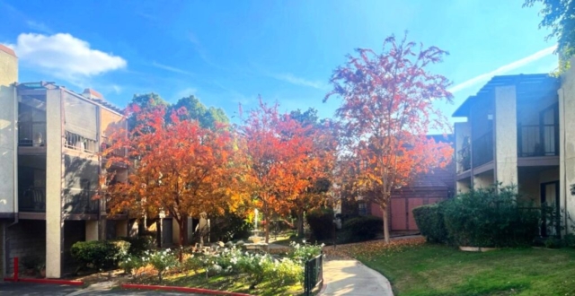 Fall colors highlight the beautiful grounds at The Oaks of Pasadena - located at 2954 E. Del Mar Blvd. in Pasadena, CA