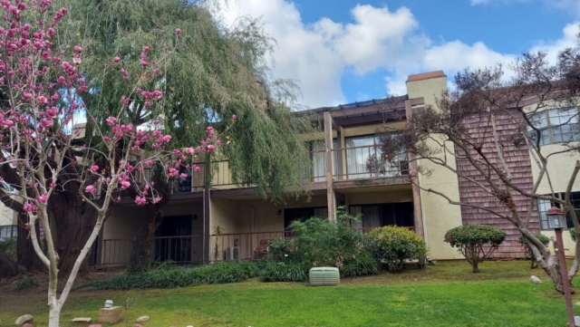 East-facing apartments at The Oaks of Pasadena enjoy a view of willow trees and magnolias
